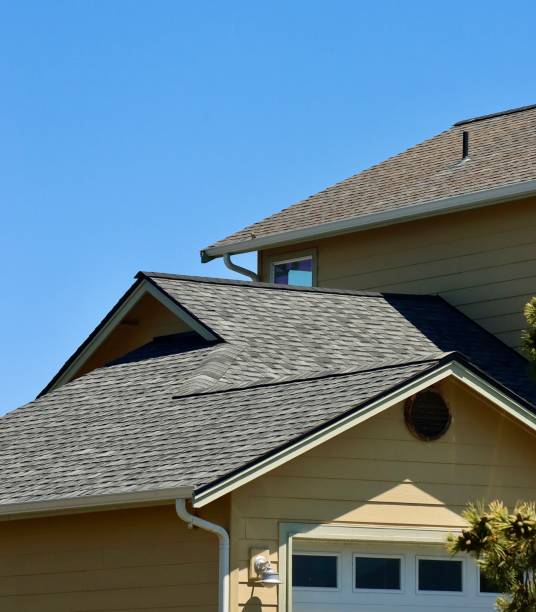 Best Solar Panel Roofing Installation  in Natchitoches, LA